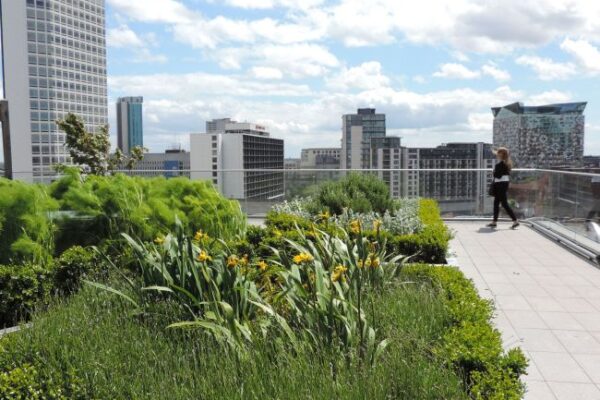 Developeři ve větší míře preferují materiály šetrné k životnímu prostředí