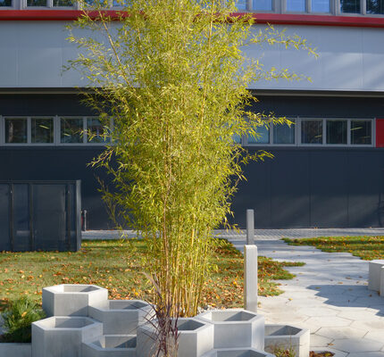 Firma bojuje proti pracovnímu stresu relaxací v parku