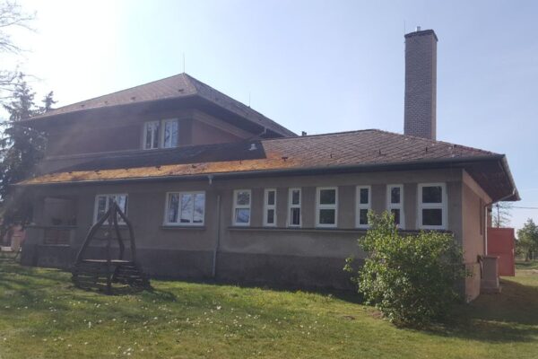 Smaragd mezi školkami na Znojemsku