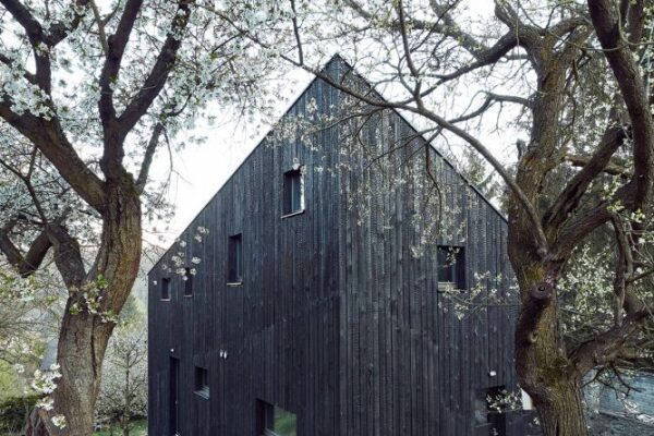 Dům v Zadní Třebani