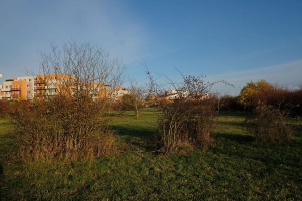 Výběrové řízení na školku v lokalitě Na Hutích