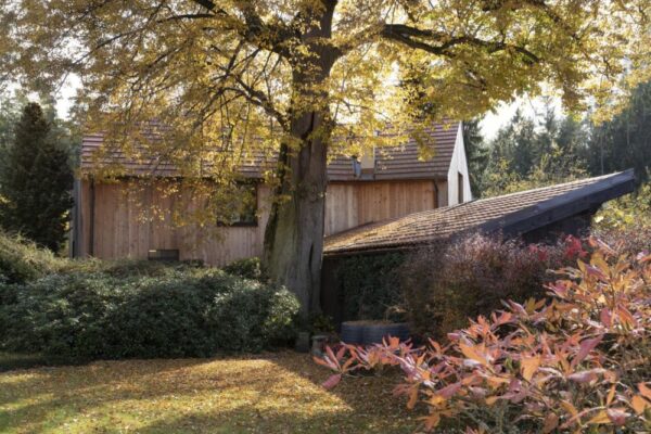 Na samotě u rybníka