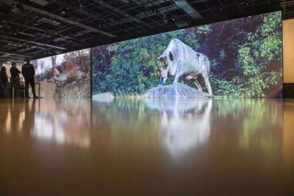 Pátá sezona v CAMPu