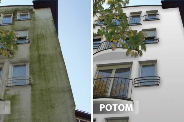 Prevence a odstranění řas a plísní na fasádě