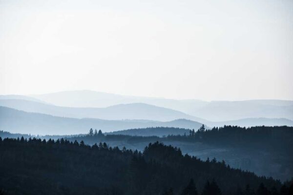 Viega bude klimaticky neutrální