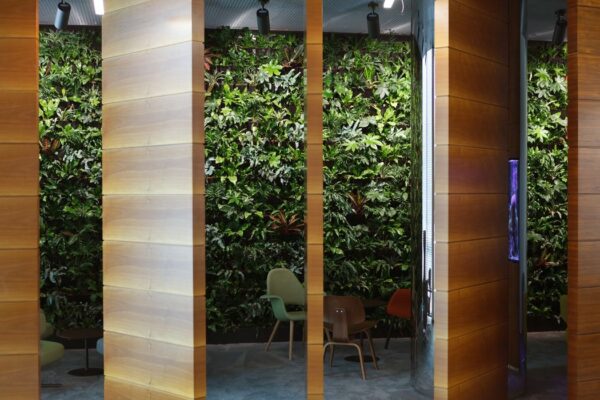 Zelené kaskády potěší nejen duši, ale prospějí i vašemu zdraví