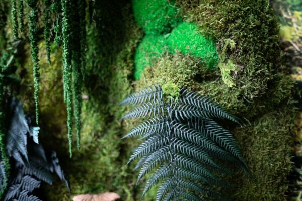 Mechové obrazy aneb kouzlo lesa v interiéru