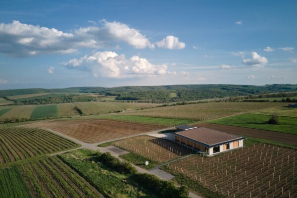 Vinařství Přátelé Pavlova