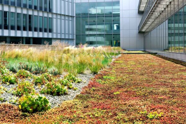 Vegetační střechy z pohledu výrobce hydroizolací