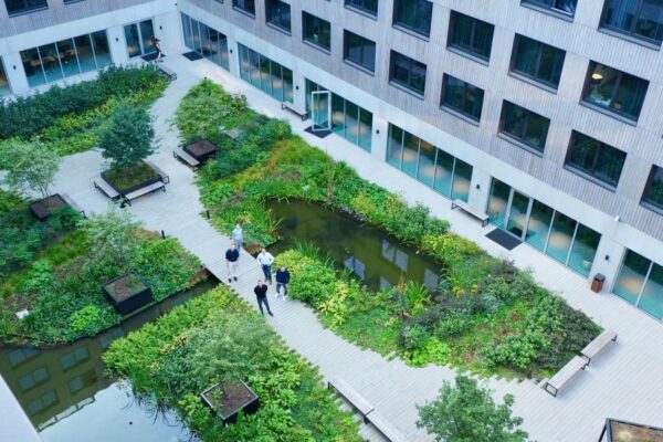 Zelená už nestačí, připravte se na éru modrozelené