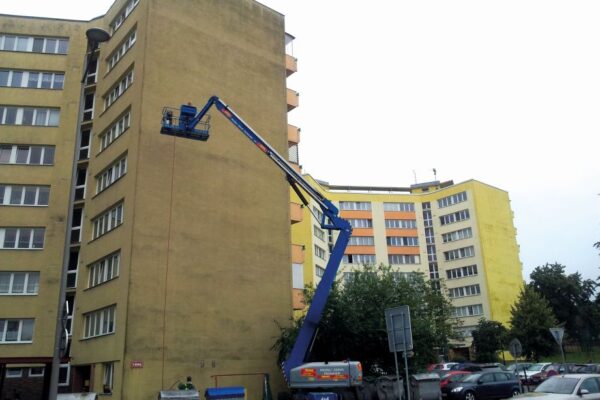 Jak chránit a ošetřit fasády zasažené plísní a řasami
