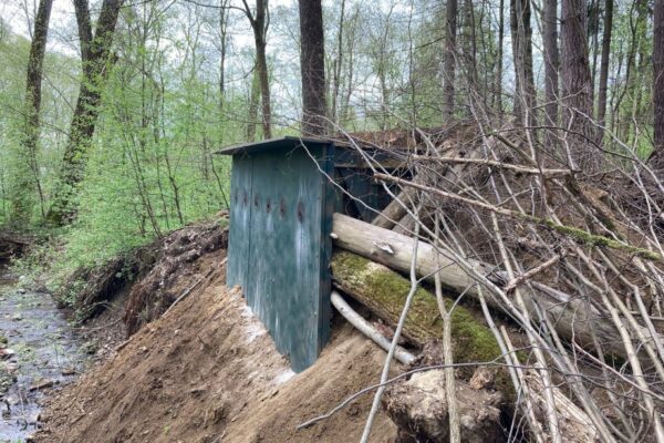 Záchrana ledňáčka v hnízdišti z kompozitu