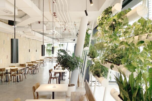 Bistro v Bratislavě