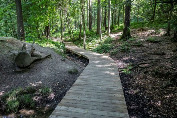 Cesta vody a park nad rybníkem v Bělském lese