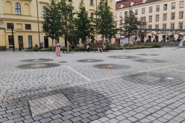 Masaryčka s funkčním odvodněním MEA